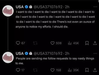 1732465420435.png