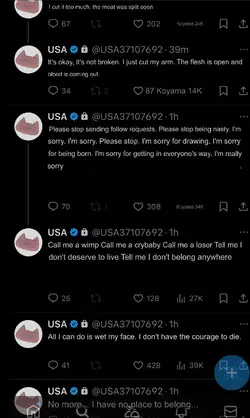 1732465432714.png