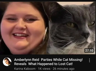 Screenshot_20241124_172103_YouTube.jpg
