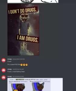 mnep 5.PNG