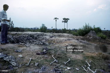 gettyimages-75896581-2048x2048.jpg