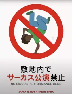 1732498250519.png
