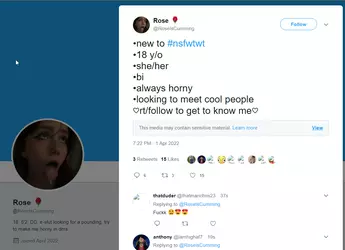 1732498927274.png