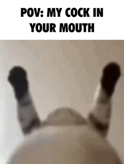 1731641702152059.gif