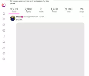 Screenshot 2024-11-25 132356 - Copy.png