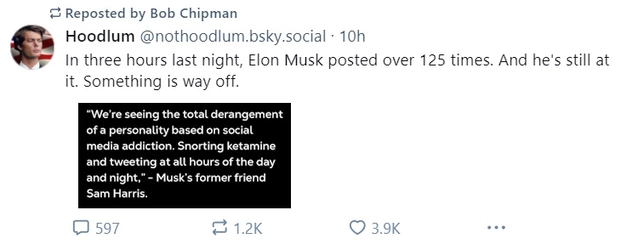 musk2.jpg
