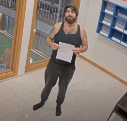 1732509789055.png