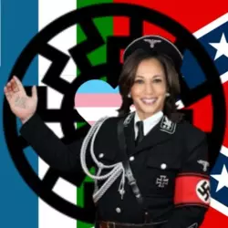 1732511040135.png