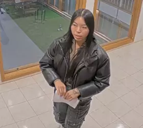 1732511717606.png