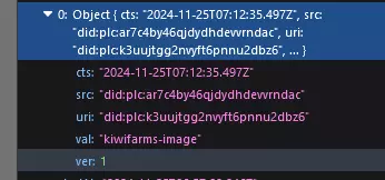 1732518858750.png