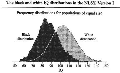 bell-curve.png