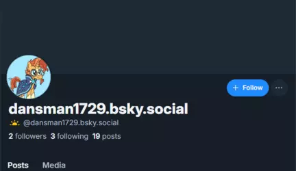 Timmy Bluesky Account.png