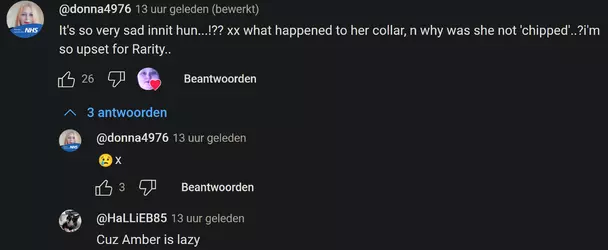 Untitled.png