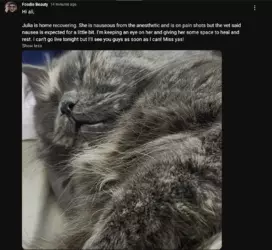 Screenshot 2024-11-25 at 15.21.12.png