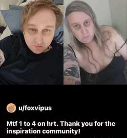 Tranny L post 22.jpg