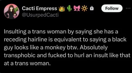 Tranny L post 24.jpg