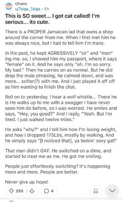 Tranny L post 27.jpg