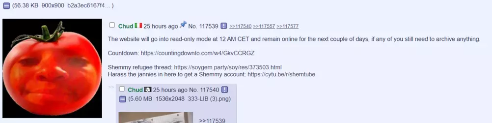 1732564275103-1.png