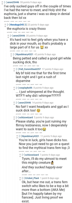 Tranny L post 54.jpg