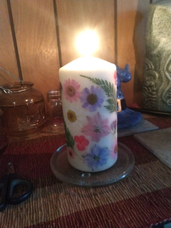 IMG_20241123_143332.jpg