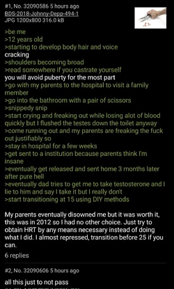 Tranny L post 80.jpg