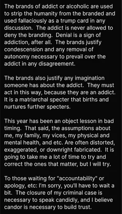 Dear Diary the Internet part 2.jpg
