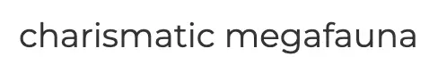 caption.png