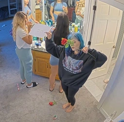 binxstillin3.jpg