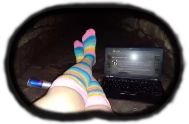 Kiwivision0.png Kiwivision0.png