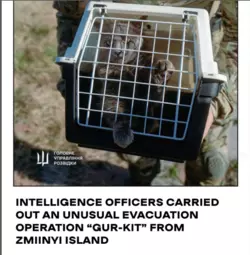 QUR-KIT.png