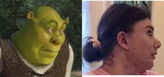 elphaba_onion.png
