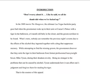 MT v Belanus brief.png