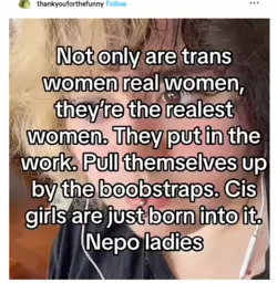 nepo ladies.PNG