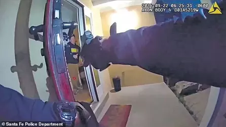 1732718868398.png 1732718868398.png