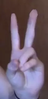 1732725550960.png
