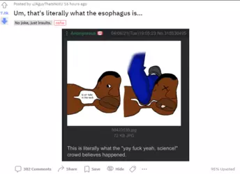 1732739955006.png