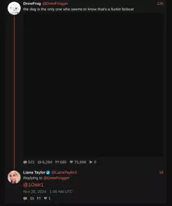 liana3.png