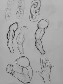 arms.jpg