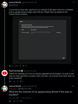1732779808719.png