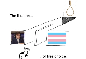 illusiongroyper.jpg