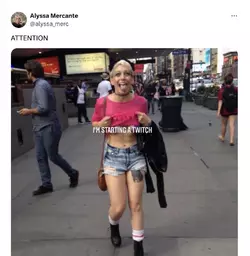 1732834753272.png