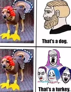 1732835223974.png