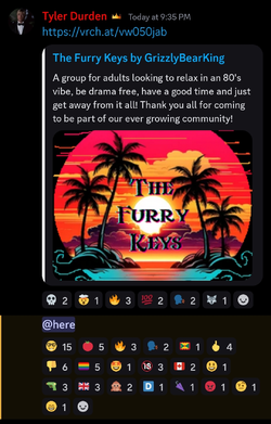 Screenshot_20241128_213848_Discord.jpg