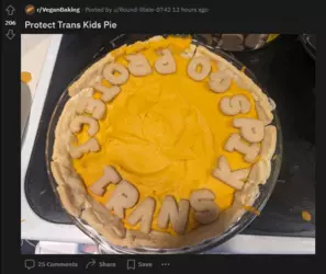 Screenshot 2024-11-29 at 07-05-37 SilentVoice33 (u_Round-State-8742) - Reddit.png