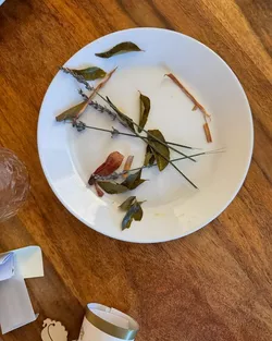 leaves.jpg