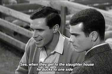 judas goats compulsion1.gif