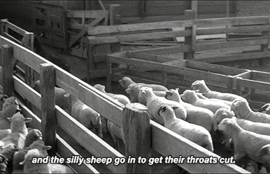 judas goats compulsion2.gif