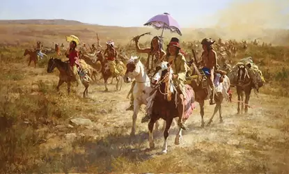 comanche-parasol.png