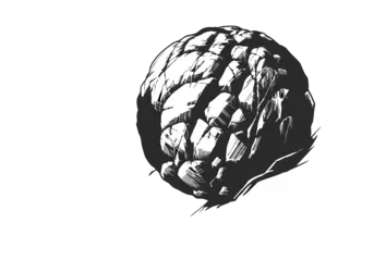 rock.png