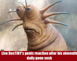 live tiny reaction.png